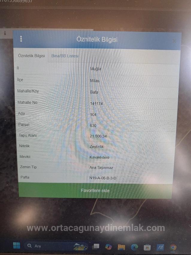 Milas Bafa 3.200 M2 Gemeinsamer Olivenhain Zu Verkaufen, Neben 271 M2 Olivenhain Mit Einzeltitel