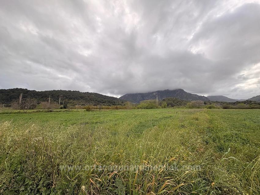 Feld Zu verkaufen in Mergenli Bz. Ortaca - Feld-Zonierung - 7.088 m²