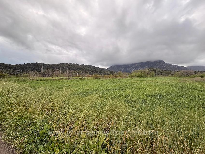 Feld Zu verkaufen in Mergenli Bz. Ortaca - Feld-Zonierung - 7.088 m²