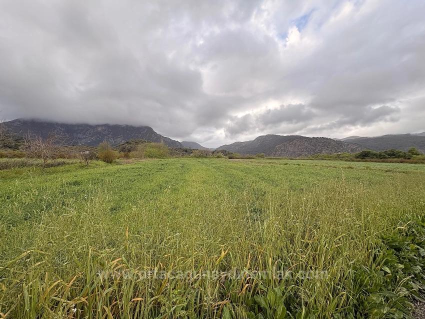 Feld Zu verkaufen in Mergenli Bz. Ortaca - Feld-Zonierung - 7.088 m²