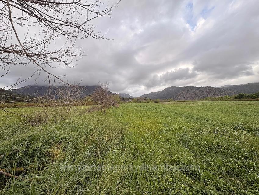 7.088 M² Großes Gemeinschaftsgrundstück Zum Verkauf Im Stadtteil Mergenli, Ortaca, Muğla.