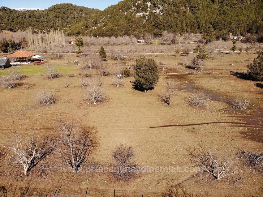 Feld Zu Verkaufen in Çayhisar Bz. Köyceğiz - Feld-Zonierung - 1.100 m²
