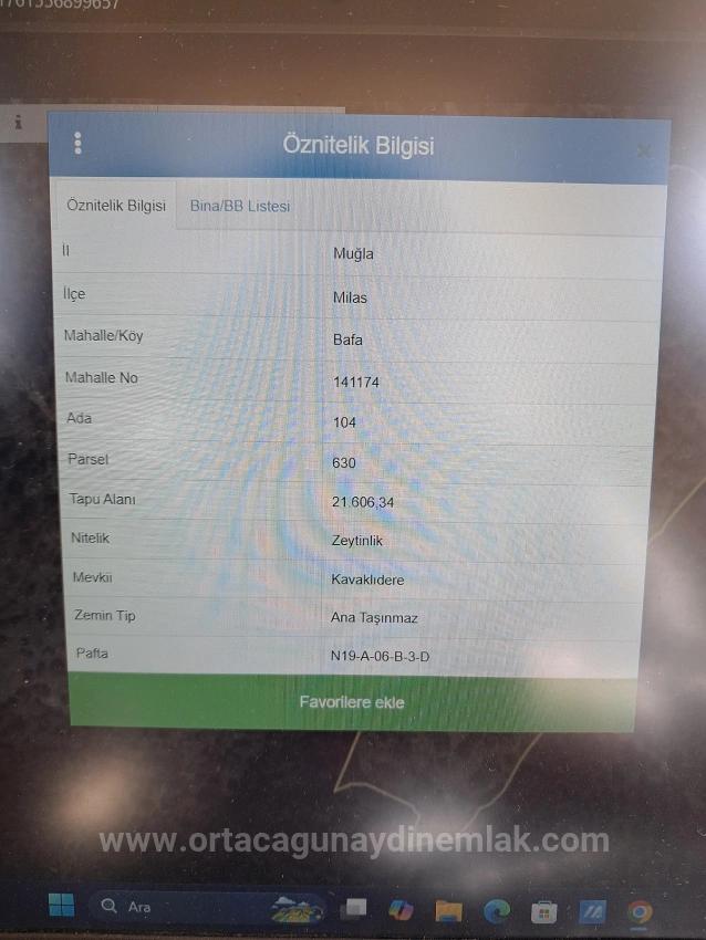 3.200 M² Großer Olivenhain In Milas Bafa Zu Verkaufen (Anbieter: Günaydın Real Estate)
