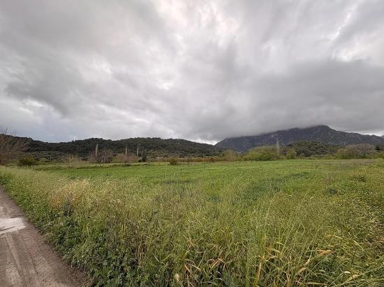 7.088 M² Großes Gemeinschaftsgrundstück Zum Verkauf Im Stadtteil Mergenli, Ortaca, Muğla.