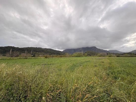 7.088 M² Großes Gemeinschaftsgrundstück Zum Verkauf Im Stadtteil Mergenli, Ortaca, Muğla.