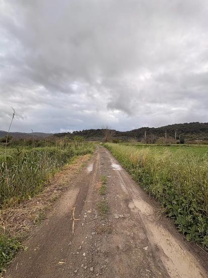 7.088 M² Großes Gemeinschaftsgrundstück Zum Verkauf Im Stadtteil Mergenli, Ortaca, Muğla.
