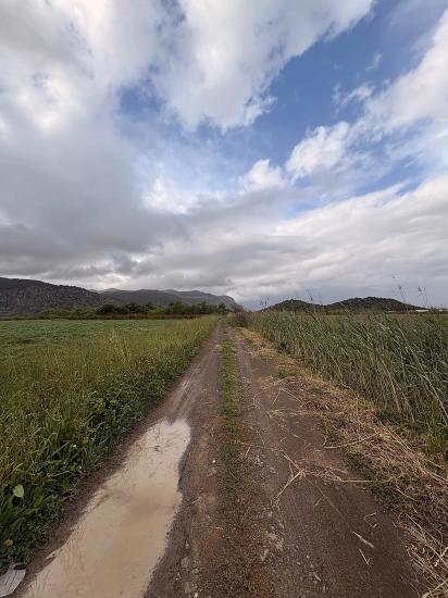 7.088 M² Großes Gemeinschaftsgrundstück Zum Verkauf Im Stadtteil Mergenli, Ortaca, Muğla.