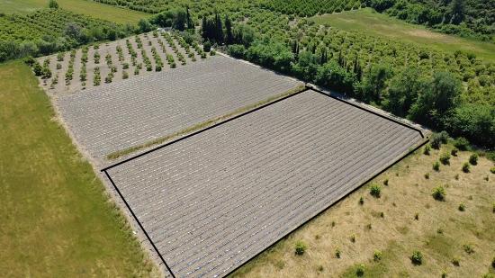 Landwirtschaftliche Fläche Zum Verkauf Im Ortaca Fevziye Viertel, 6006 M², Mit Einer Einzigen Eigentumsurkunde.