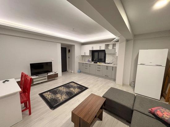 Vollständig Möbliertes 1+1-Apartment Zur Miete Im Stadtteil Ortaca Karaburun.