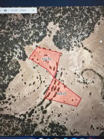 Kaş Yayla Palamut Da Verkauflich 3.350 M2 Acker - Unabhängiges Grundstück | Dieser Preis Gilt Für Das Grundstück 20