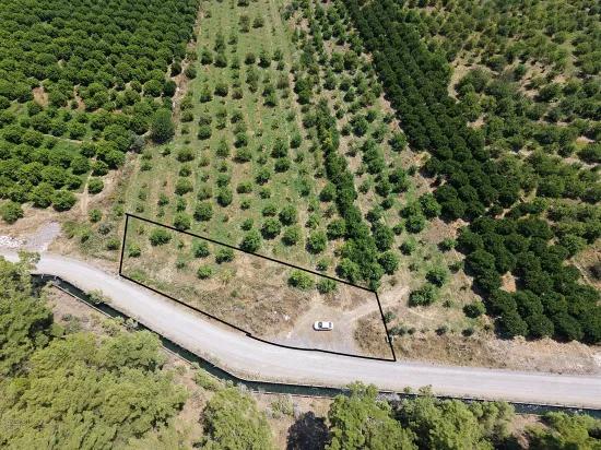 Ortaca Çaylı'da Verkaufte 1,636 M2 Acker - Einzelne Urkunde