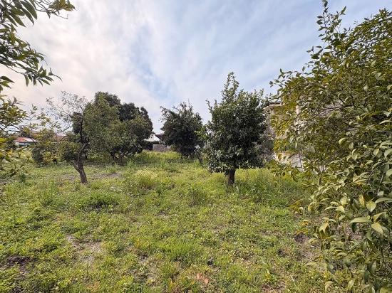 Muğla Köyceğiz Gelişim Mah. 600 M2 Grundstück Mit Einzeltitelurkunde Und Zoneneinteilung