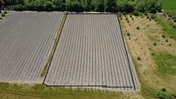 Landwirtschaftliche Fläche Zum Verkauf Im Ortaca Fevziye Viertel, 6006 M², Mit Einer Einzigen Eigentumsurkunde.