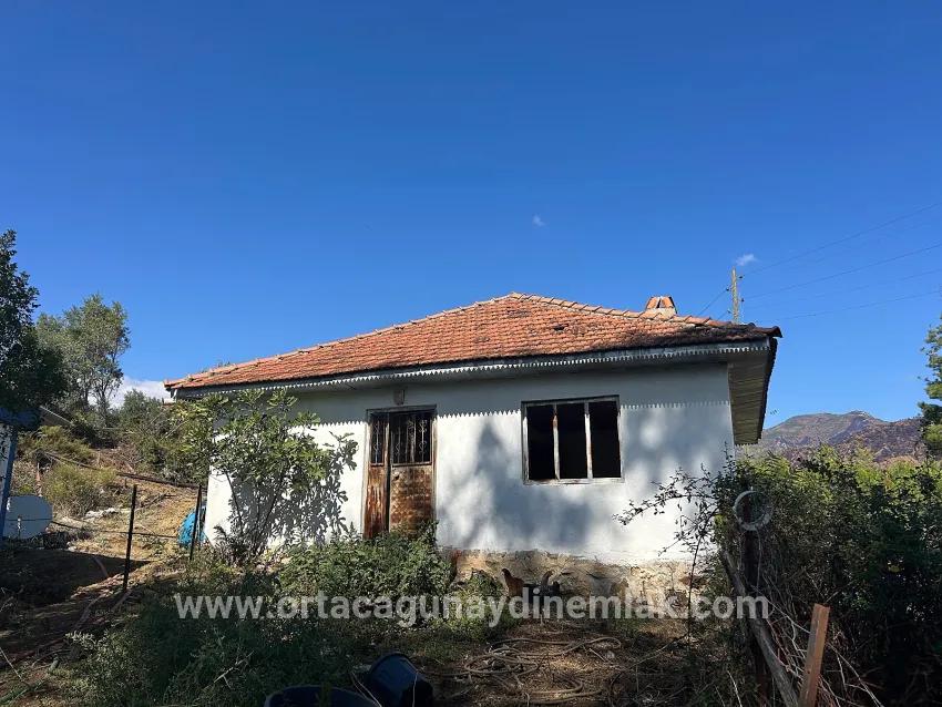 Feld Zu Verkaufen in Pınar Bz. Köyceğiz - Feld-Zonierung - 16.964 m²