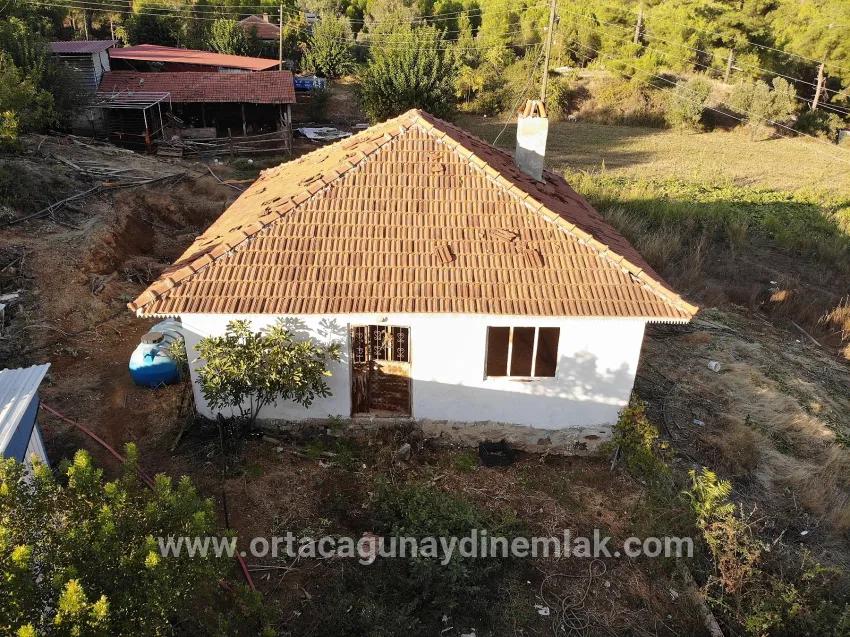 Feld Zu Verkaufen in Pınar Bz. Köyceğiz - Feld-Zonierung - 16.964 m²