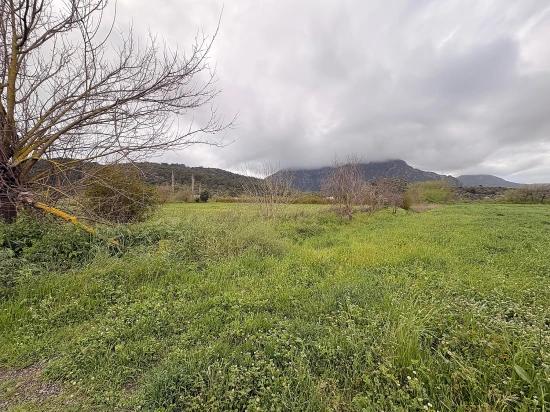 7.088 M² Großes Gemeinschaftsgrundstück Zum Verkauf Im Stadtteil Mergenli, Ortaca, Muğla.