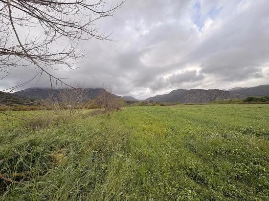 7.088 M² Großes Gemeinschaftsgrundstück Zum Verkauf Im Stadtteil Mergenli, Ortaca, Muğla.
