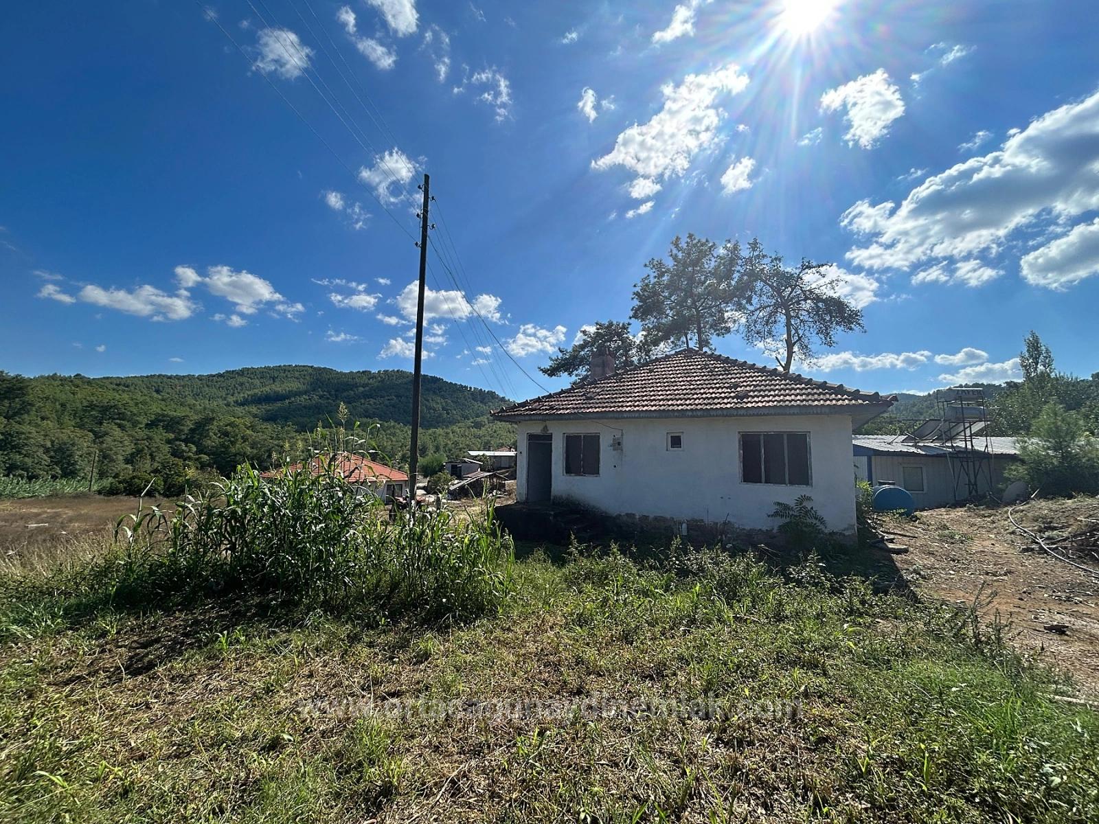 1675 M² Shared Field For Sale In Köyceğiz Pınarköy