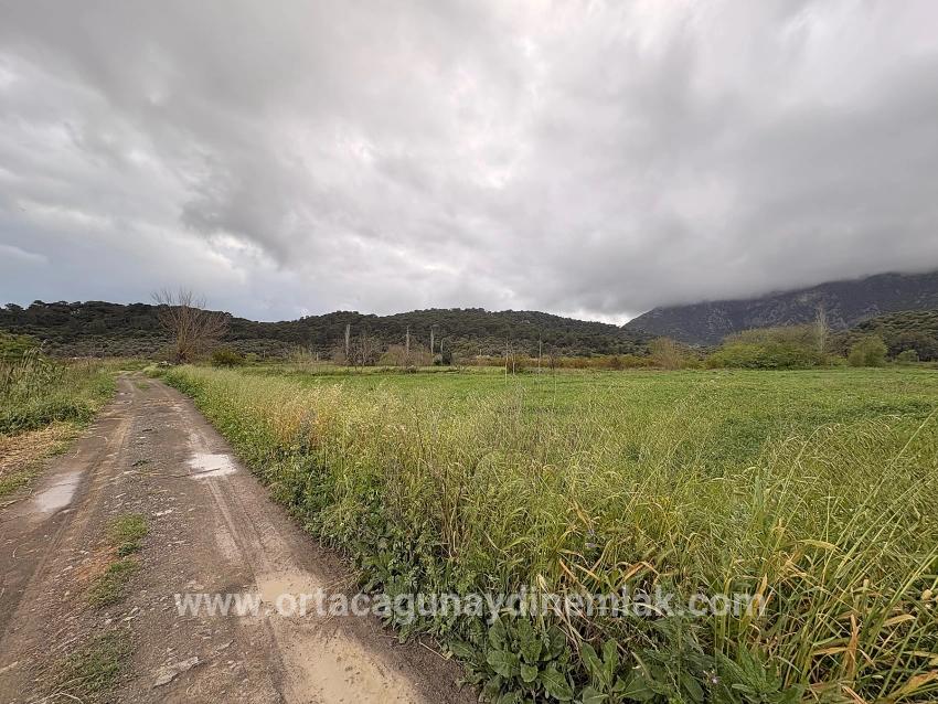 Field For sale in Mergenli Nbh. Ortaca - Field Zoned - 7.088 m²