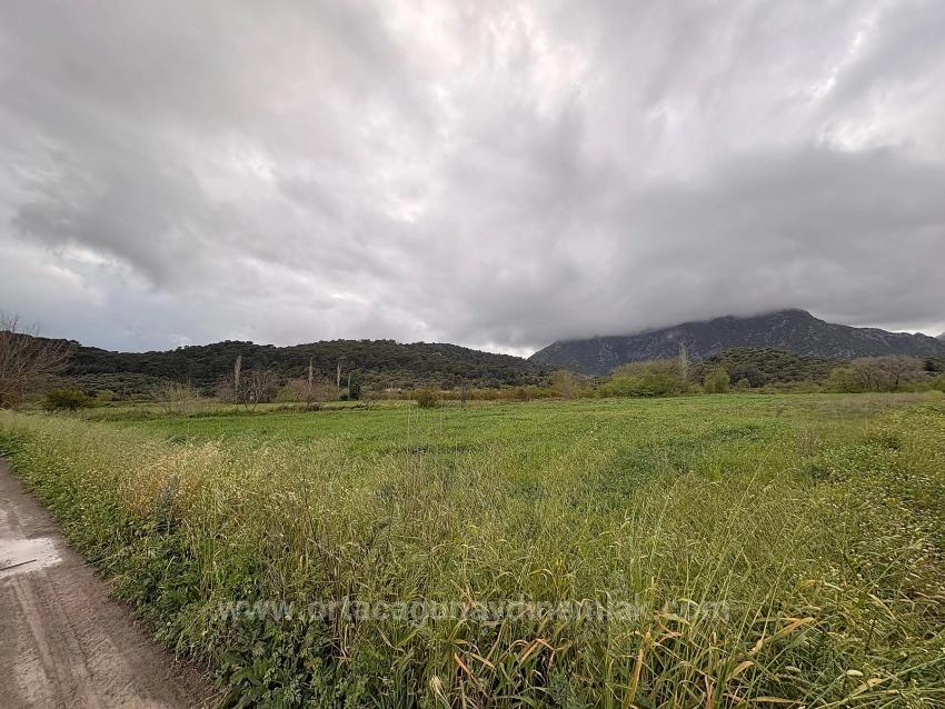 7,088 M2 Shared Land For Sale In Mergenli Neighborhood, Ortaca, Muğla.