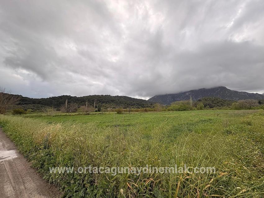 Field For sale in Mergenli Nbh. Ortaca - Field Zoned - 7.088 m²