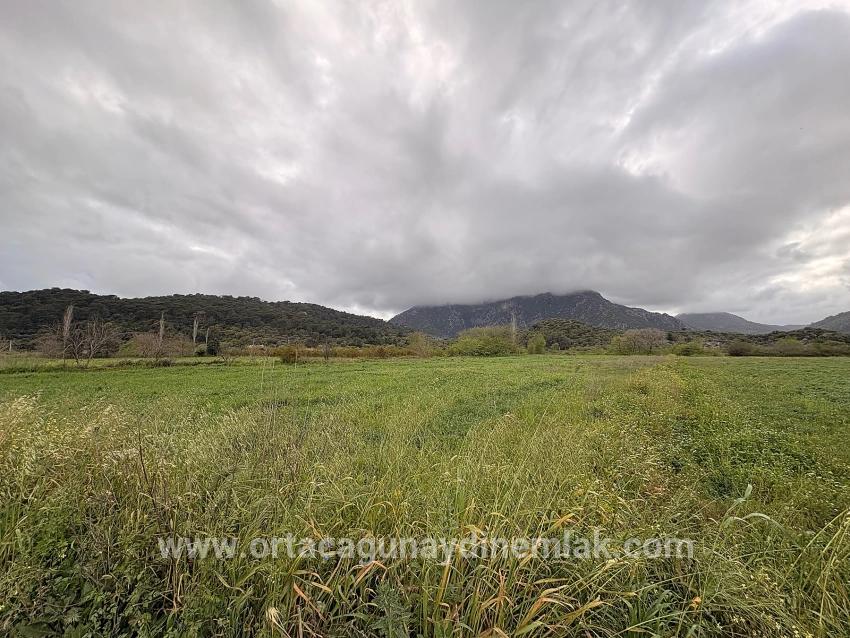 Field For sale in Mergenli Nbh. Ortaca - Field Zoned - 7.088 m²