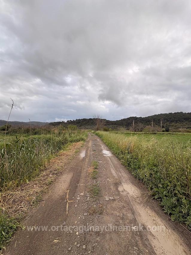 7,088 M2 Shared Land For Sale In Mergenli Neighborhood, Ortaca, Muğla.