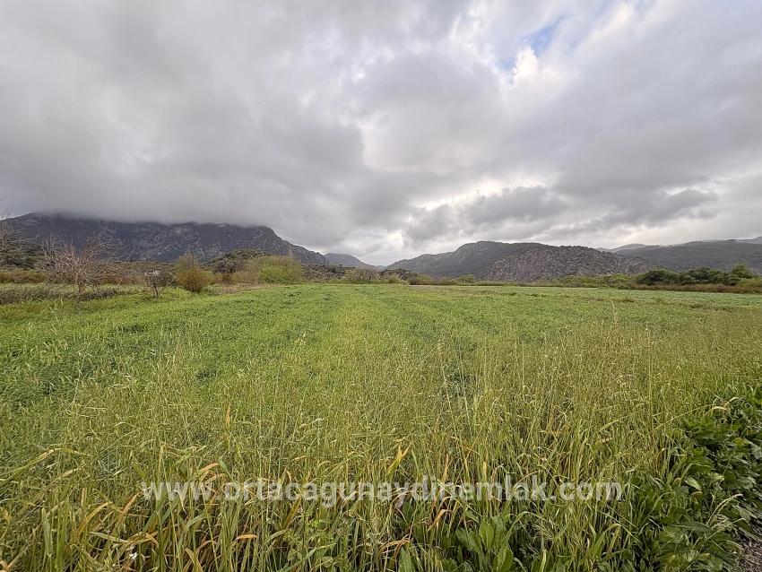 Field For sale in Mergenli Nbh. Ortaca - Field Zoned - 7.088 m²