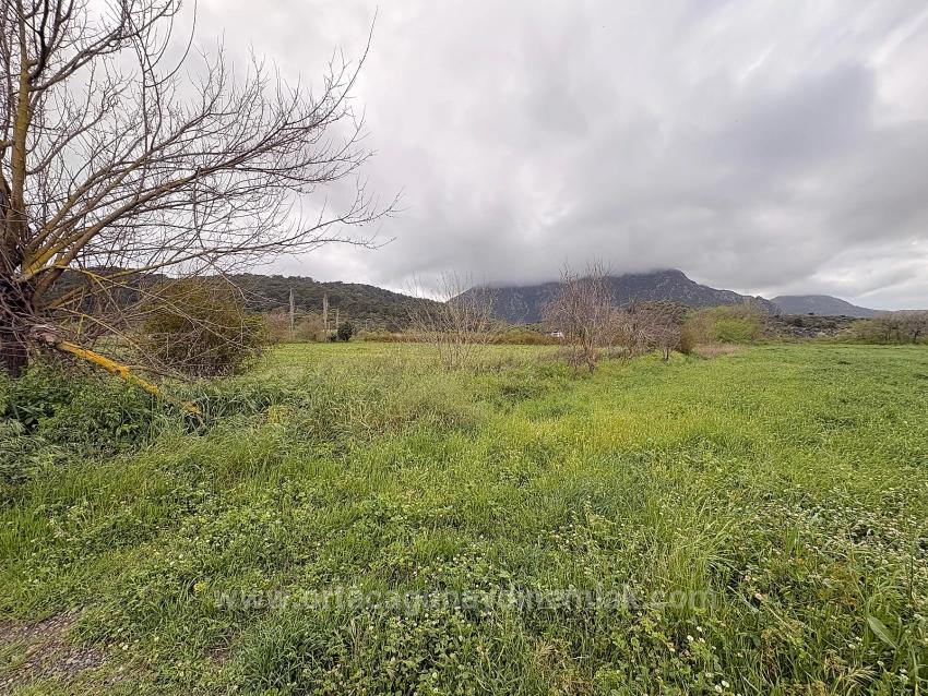 7,088 M2 Shared Land For Sale In Mergenli Neighborhood, Ortaca, Muğla.