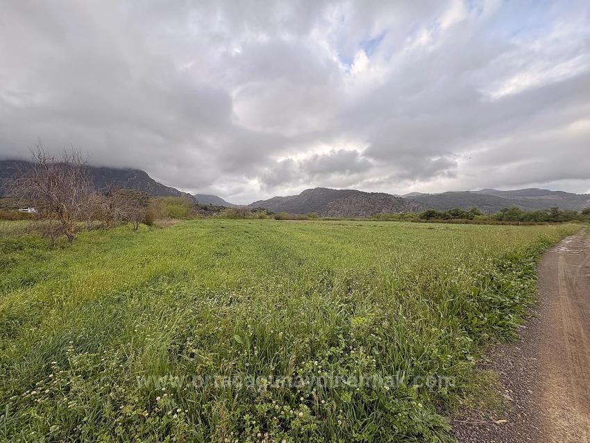 7,088 M2 Shared Land For Sale In Mergenli Neighborhood, Ortaca, Muğla.