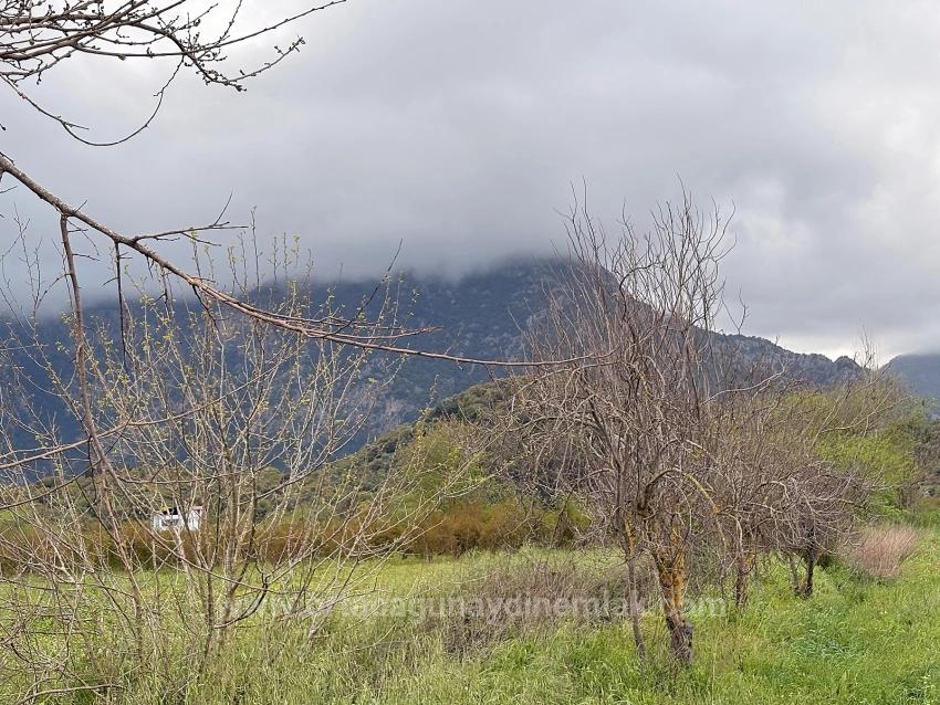 7,088 M2 Shared Land For Sale In Mergenli Neighborhood, Ortaca, Muğla.