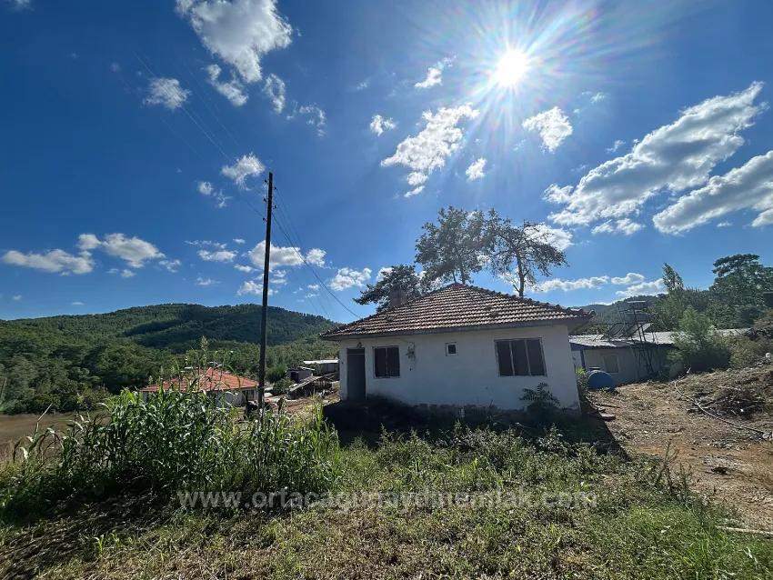 Field For Sale in Pınar Nbh. Köyceğiz - Field Zoned - 16.964 m²
