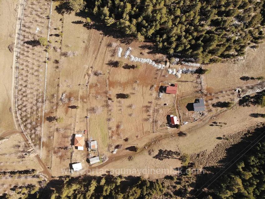 In The Köyceğiz Çövenli Plateau, A 1.100 M² Field For Sale