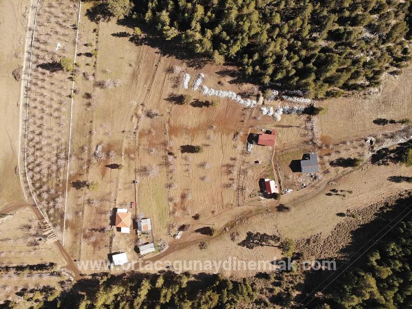 Field For Sale in Çayhisar Nbh. Köyceğiz - Field Zoned - 1.100 m²