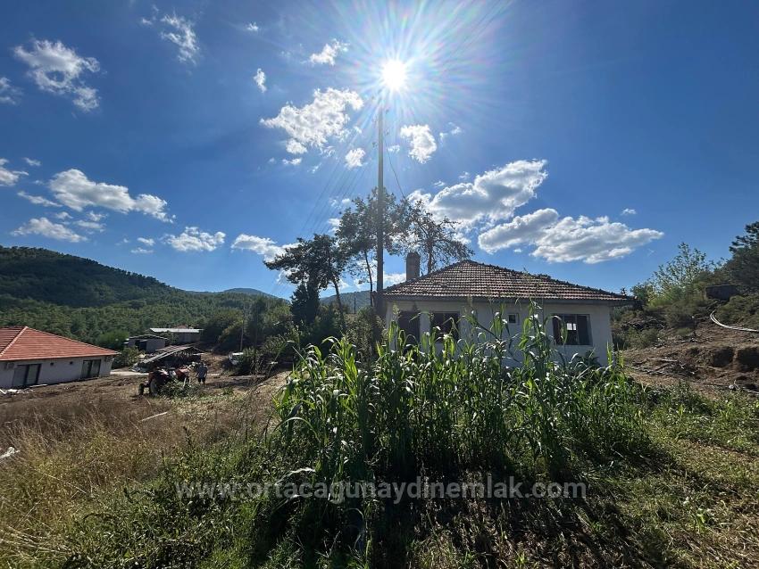 1675 M² Shared Field For Sale In Köyceğiz Pınarköy