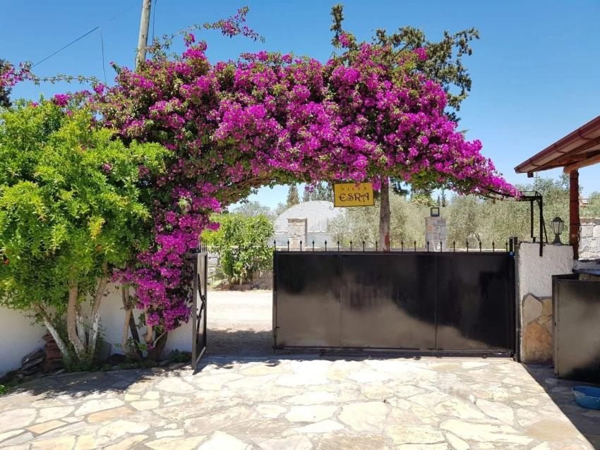 Günaydın Real Estate Offers A 2+1 Villa With A Pool On A 1,357 M2 Plot For Sale In Dalyan.