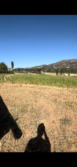 993 M² Single Title Deed Field For Sale In Denizli Çameli