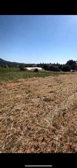 993 M² Single Title Deed Field For Sale In Denizli Çameli