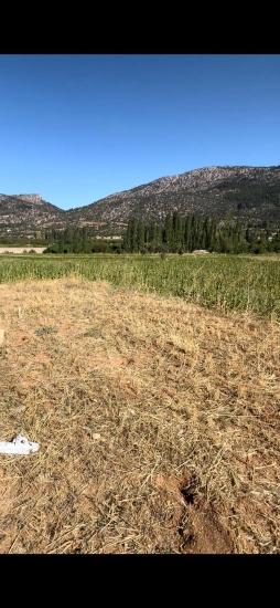 993 M² Single Title Deed Field For Sale In Denizli Çameli