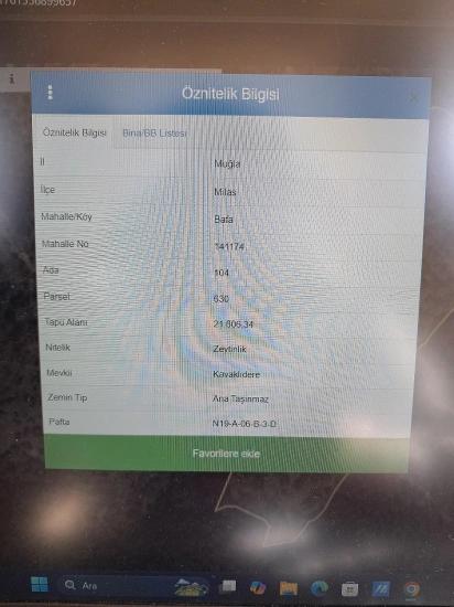 Milas Bafa 3,200 M2 Shared Olive Grove For Sale, Next To 271 M2 Single Title Deed Olive Grove Gift