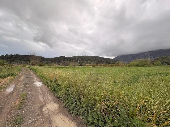 7,088 M2 Shared Land For Sale In Mergenli Neighborhood, Ortaca, Muğla.