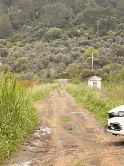 7,088 M2 Shared Land For Sale In Mergenli Neighborhood, Ortaca, Muğla.