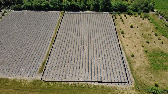 Agricultural Land For Sale In Ortaca Fevziye Neighborhood, 6006 M2, With A Single Title Deed.