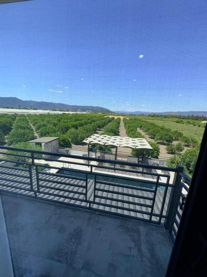 Farmhouse And Land For Sale In Dalyan Eskiköy, 14 Acres