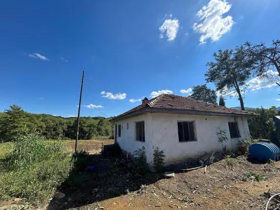 Muğla Köyceğiz In The Pınar Village A 1.675 M2 Plot Of Land For Sale