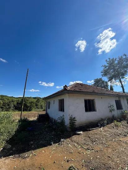 Muğla Köyceğiz In The Pınar Village A 1.675 M2 Plot Of Land For Sale