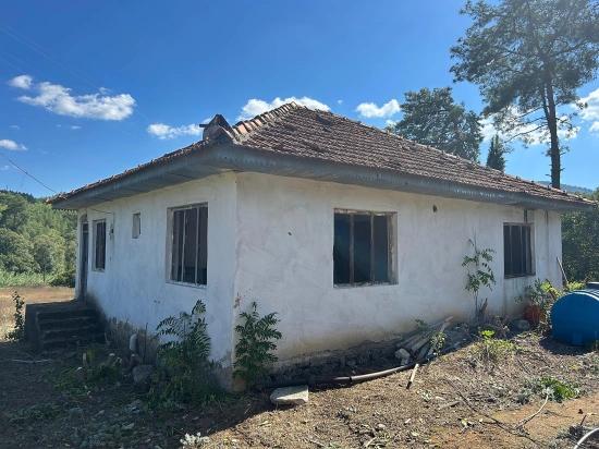 1675 M² Shared Field For Sale In Köyceğiz Pınarköy