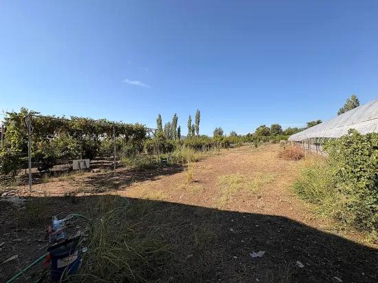 Field of 1.870 M2 for sale In Ortaca Çaylı, electricity and water available