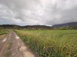 7,088 M2 Shared Land For Sale In Mergenli Neighborhood, Ortaca, Muğla.