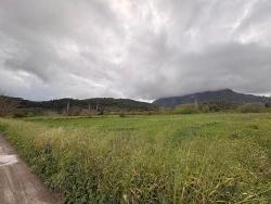 7,088 M2 Shared Land For Sale In Mergenli Neighborhood, Ortaca, Muğla.